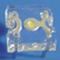 http://www.luckylight.cn/UploadFiles/jpg_200909281254194398.jpg